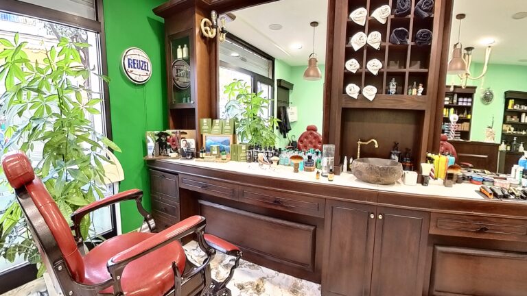 IMG_20241107_085850_00_040.insp